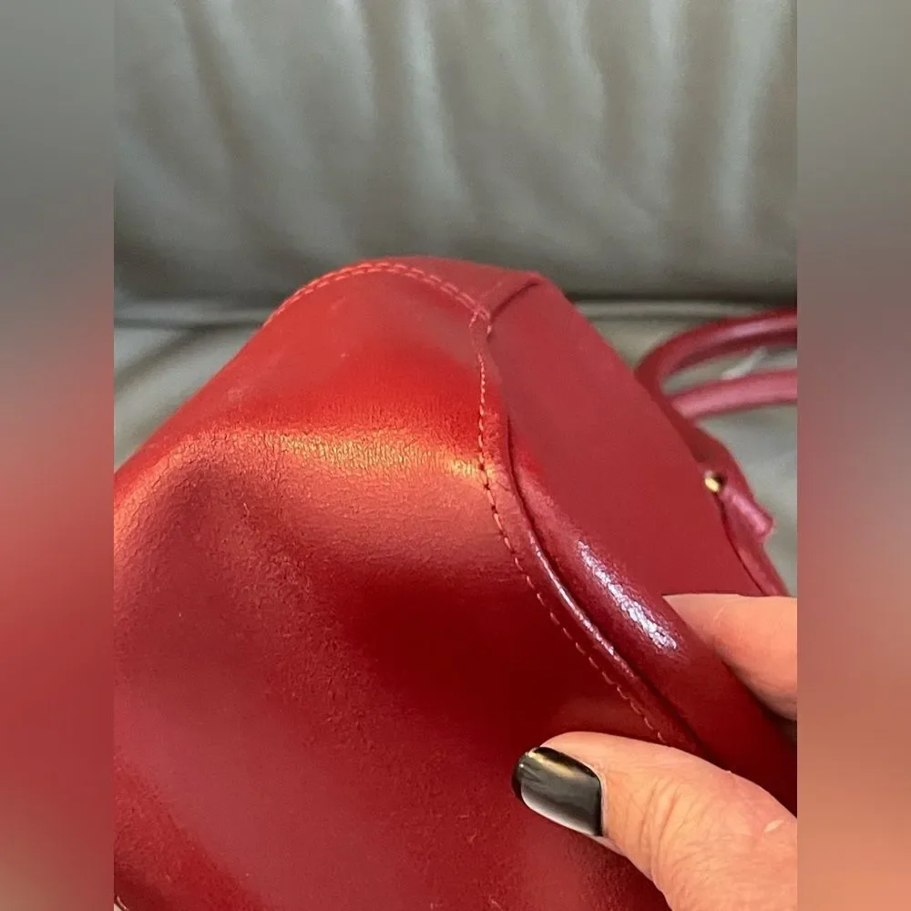 Vintage Longchamp Roseau Leather Bag in the color Bordeaux.